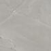 Керамогранит Provenza Unique Infinity Purestone Grey 60x60