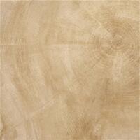 Керамогранит Provenza W Age Heartwood Beige Rett 60x60