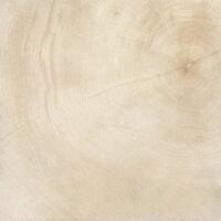 Керамогранит Provenza W Age Marrow Bianco Rettifical 60x60
