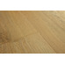 ПВХ плитка Quick-Step Alpha Vinyl Medium Planks Эко дымчатый AVMP40238 - фото в интерьере