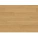 ПВХ плитка Quick-Step Pulse Click Plus Дуб чистый медовый PUCP40098
