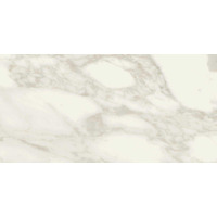 Керамогранит Ragno Bistrot Arabescato Soft 30x60