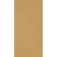 Керамогранит Ragno Decora Senape 60x120