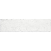 Керамогранит Ragno Eden Bianco 7x28