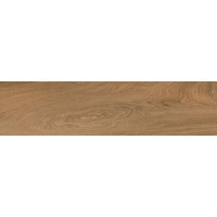 Керамогранит Ragno Escape Marrone 12.5x50