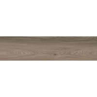 Керамогранит Ragno Escape Tortora 12.5x50