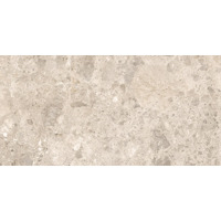 Керамогранит Ragno Eterna Mix Beige 60x120