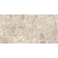 Керамогранит Ragno Eterna Mix Multicolor Strutturato 60x120