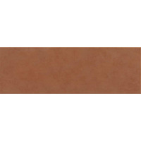 Керамика Ragno Flex Zafferano 25x76