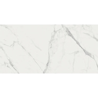 Керамогранит Ragno Imperiale Statuarietto Rect 60x120