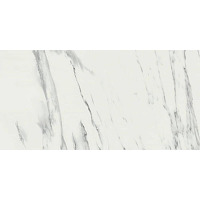 Керамогранит Ragno Imperiale Venato Glossy Rect 58x116