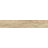Керамогранит Ragno Iroveri Essenza 20x120