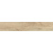 Керамогранит Ragno Iroveri Essenza 20x120