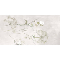 Керамогранит Ragno Maiora-Concrete Effect Botanical White Faccia C Rettificato 120x240