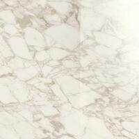 Керамогранит Ragno Maiora-Marble Effect Arabescato Glossy Rettificato 120x120