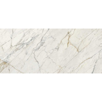 Керамогранит Ragno Maiora-Marble Effect Calacatta Oro Rettificato 120x278