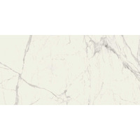 Керамогранит Ragno Maiora-Marble Effect Statuario Rettificato 120x240