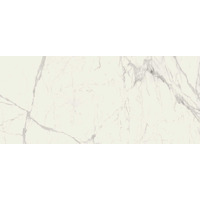Керамогранит Ragno Maiora-Marble Effect Statuario Rettificato 120x278