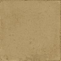 Керамогранит Ragno Ottocento Ocra 20x20