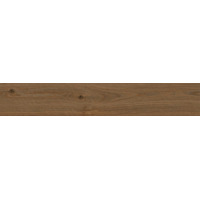 Керамогранит Ragno Secret Marrone 20x120