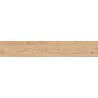 Керамогранит Ragno Secret Miele 20x120