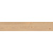 Керамогранит Ragno Secret Miele 20x120