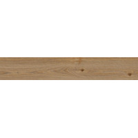 Керамогранит Ragno Secret Rovere 20x120