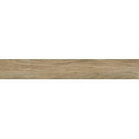 Керамогранит Ragno Woodessence Honey 10x70