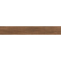 Керамогранит Ragno Woodessence Walnut 10x70
