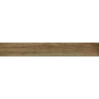 Керамогранит Ragno Woodglam Pav. Tortora 10x70
