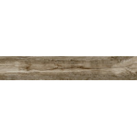 Керамогранит Ragno Woodmania Musk 20x120