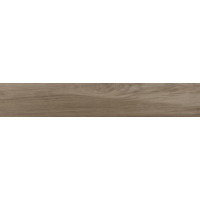 Керамогранит Ragno Woodplace Sughero 20x120