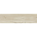 Керамогранит Ragno Woodtale Betulla Rettificato 30x120