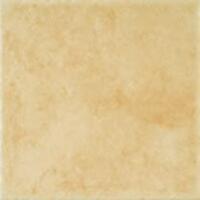 Rak 6068 Dark Beige 20x20