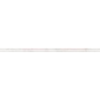 Rak Bianco Vena Line Border 4x60
