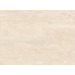 Rak Roma Matt Ivory 25x33
