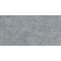Керамогранит Refin Essence Fumee R 60x120