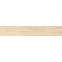 Керамогранит Refin Giant Sap R 25x150