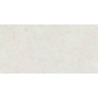 Керамогранит Refin Mold Mist R 60x120