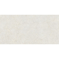Керамогранит Refin Mold Mist Soft R 60x120