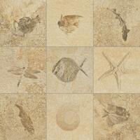 Керамогранит Refin Petrae Bavaria Fossil R 15x15