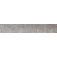 Керамогранит Refin Plant Ash R 25x150