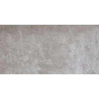 Керамогранит Refin Plant Ash R 30x60