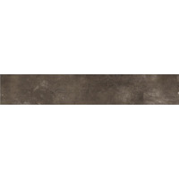 Керамогранит Refin Plant Iron R 25x150