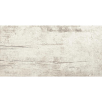 Керамогранит Refin Plant Powder R 30x60