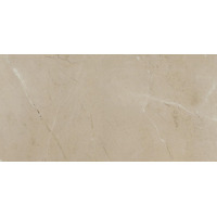 Керамогранит Refin Prestigio Arcadia Lucido R 60x120