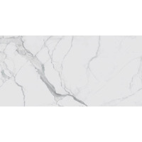 Керамогранит Rex I Classici Statuario Glossy 60x120