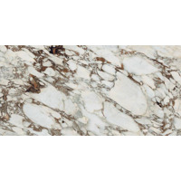 Керамогранит Rex Les Bijoux Breche Capraia Glossy 160x320