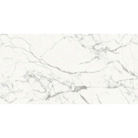 Керамогранит Rex Les Origines Blanc Glossy 6 mm 160x320