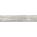 Керамогранит Ricchetti Artwood Bone Nt 20x120